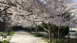 住宿一隅