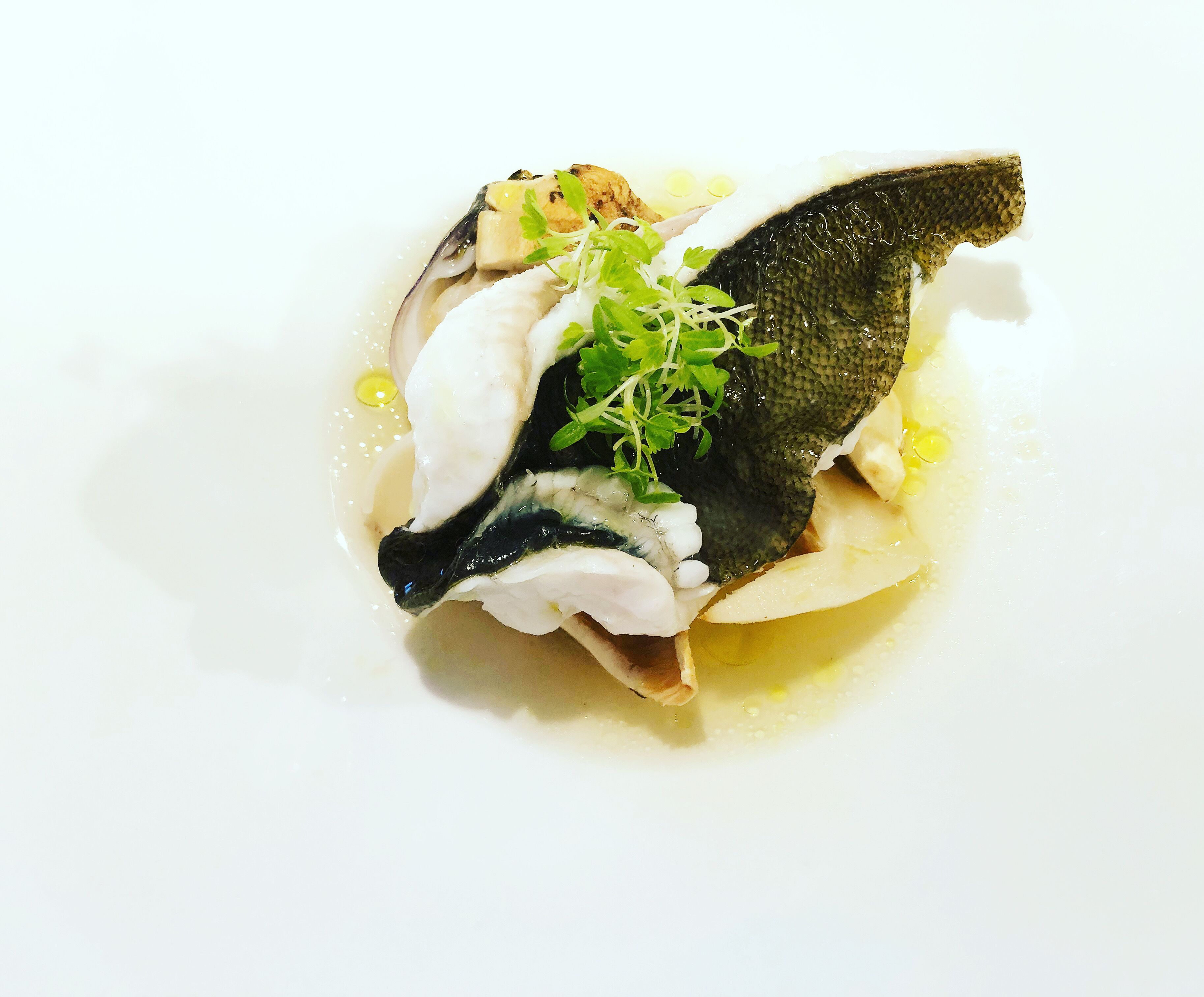 A dish with fish, greens, and a creamy sauce on a white plate.