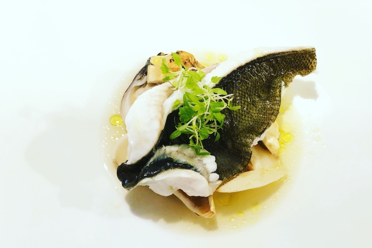 A dish with fish, greens, and a creamy sauce on a white plate.