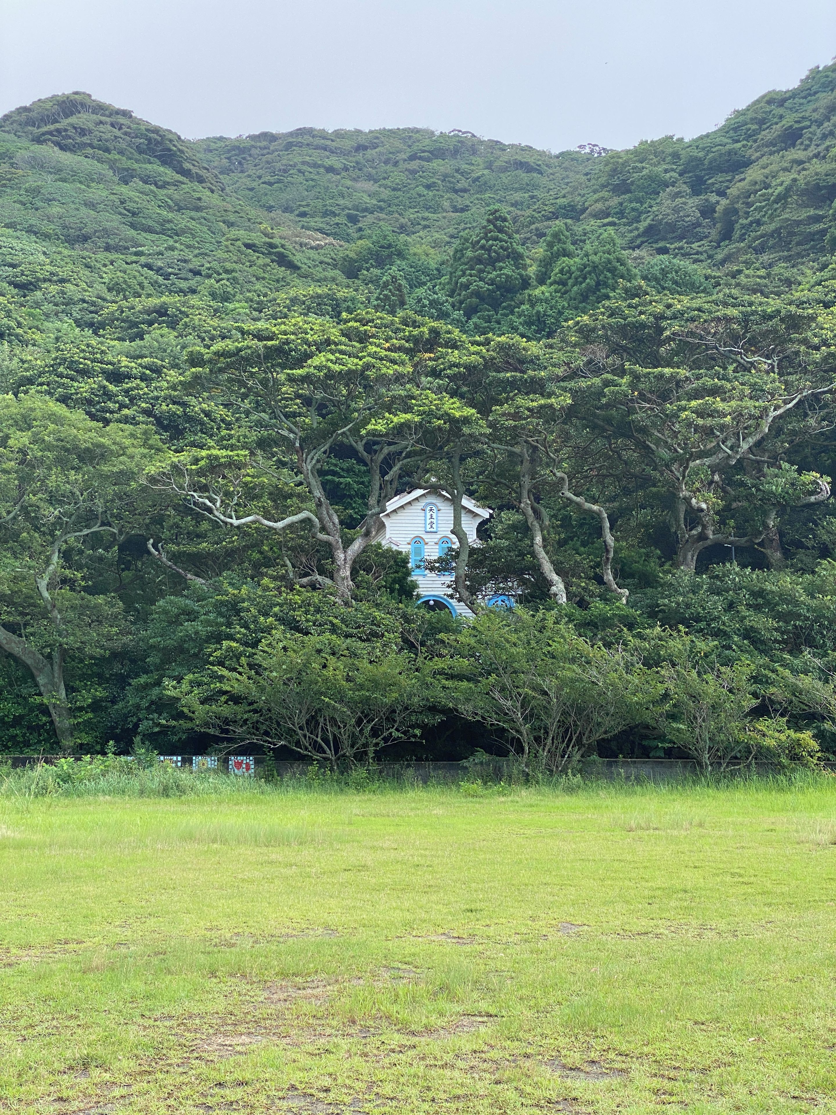 Un edificio tradicional japonés situado entre exuberante vegetación, rodeado de un campo de césped y un bosque denso.