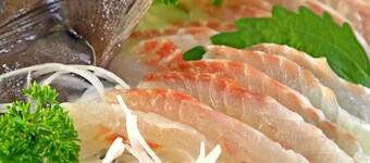 Tabi wo Kanaderu Hirota