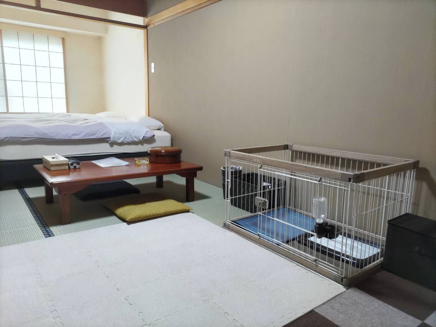 Kamer