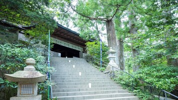 Jardines del alojamiento