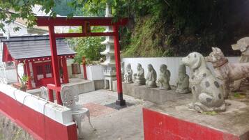 Terrein van de accommodatie