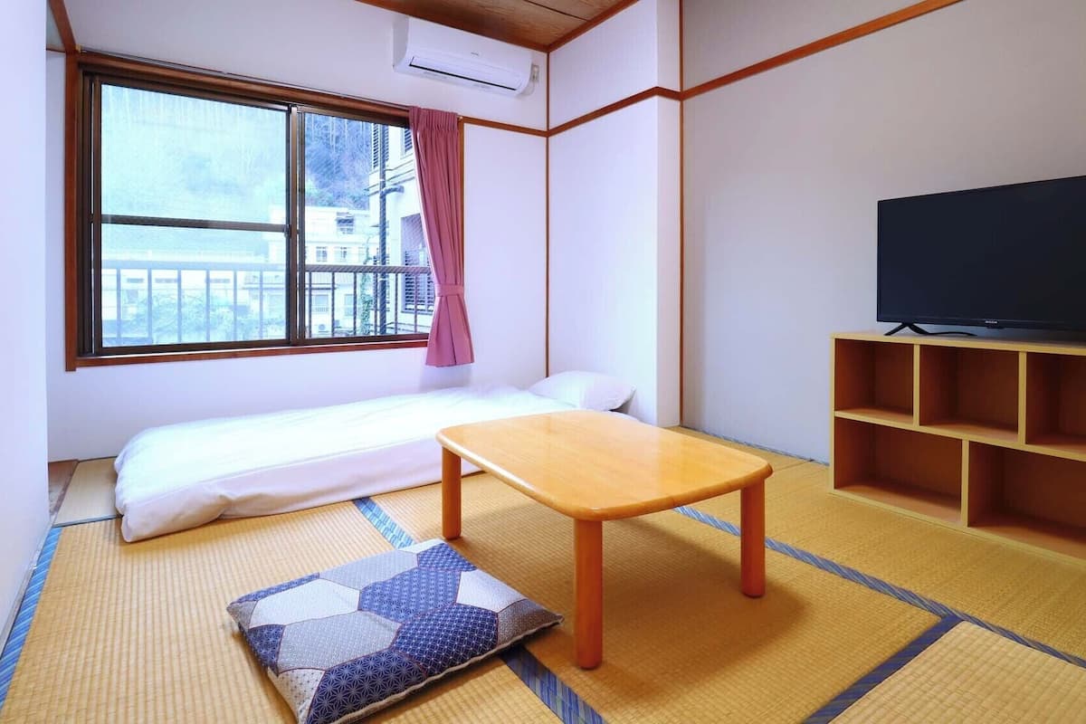 A room with a sofa bed, a television on a wooden stand, tatami mats, and a window with a view of buildings.