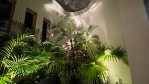 A room with a large window, a plant in the corner, and a door. - 730 Hotels (Ishigaki)