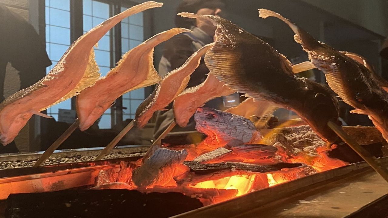 餐饮