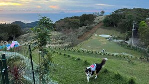Uma área gramada com cerca delimitando, árvores e uma paisagem acidentada ao fundo.