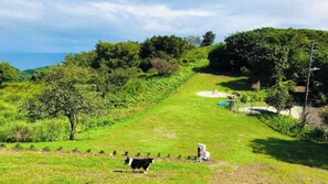 Property grounds - Moon Rivage Dog Resort Amagodaira (Kawazu)
