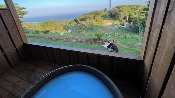 Property grounds - Moon Rivage Dog Resort Amagodaira (Kawazu)