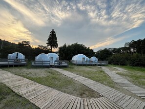 Property grounds - Kingdom Glamping Resort (Kimitsu)