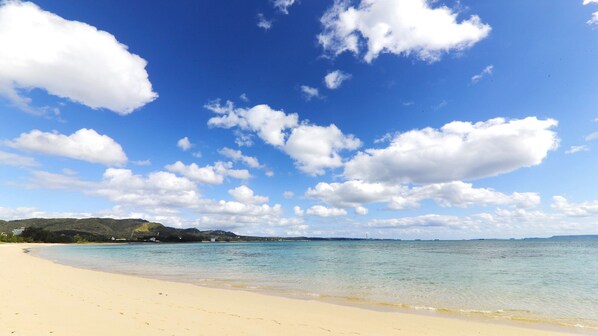 Beach - Ocean Terrace Kin (Kin)