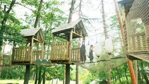 A wooden treehouse structure with a rope bridge connecting it to another treehouse. - Hiruzen Shiogama Camping Village (Maniwa)
