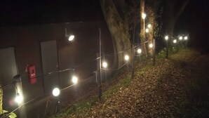 Ein Gebäude mit Lichterketten an der Außenwand, einem roten Hydranten und einem Baum im Vordergrund.
