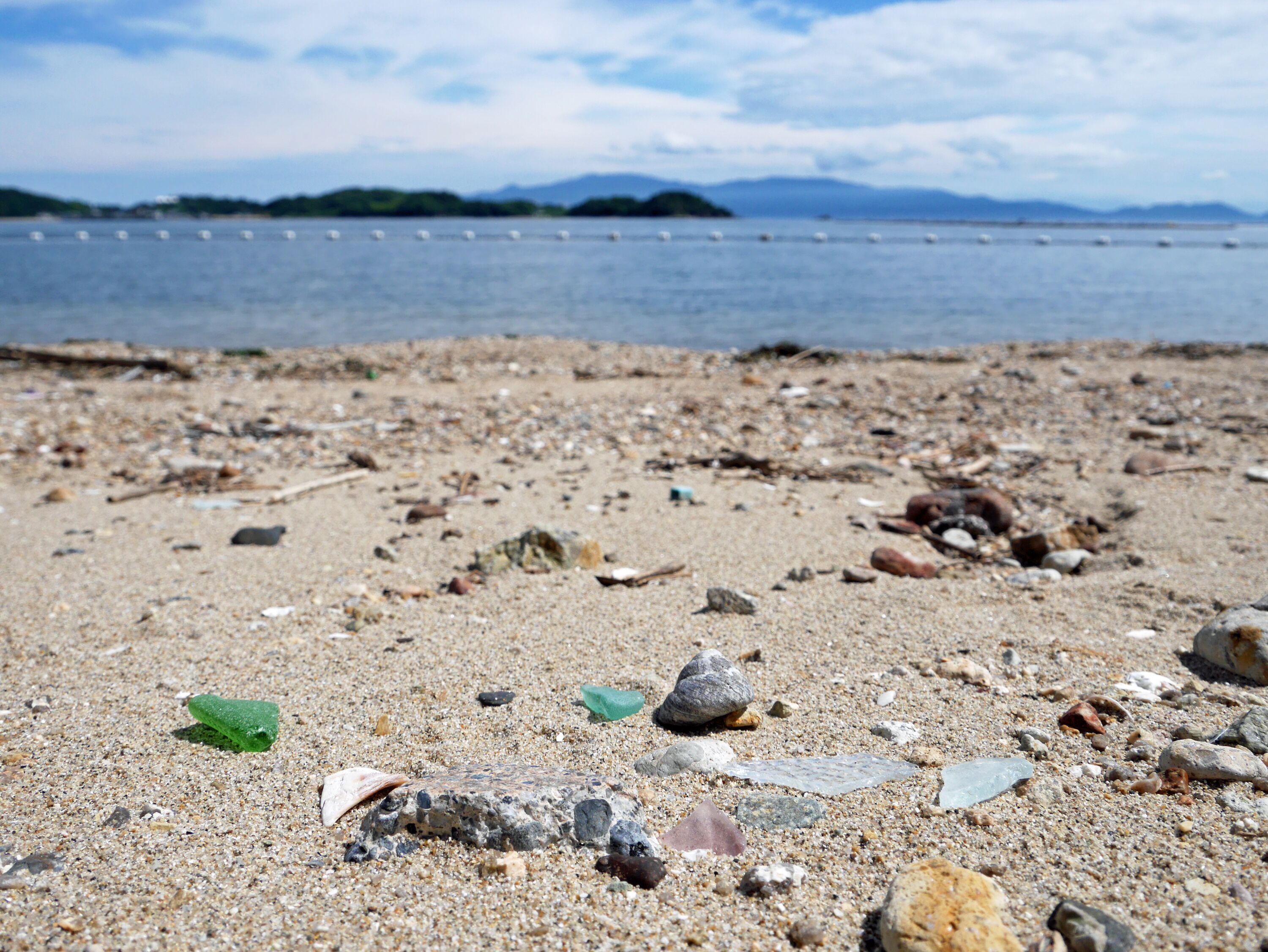 Une plage parsemée de rochers et de coquillages.