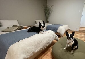 Room - Lorchidee Awajishima (Awaji)