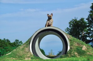 Unclassified image, 3 of 26, button - Villa Doggo Izu (Ito)