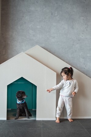 Interior - Villa Doggo Izu (Ito)