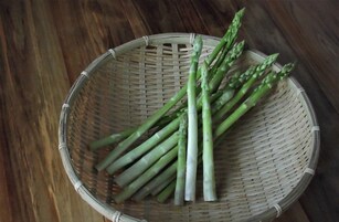 Alimentos y bebidas