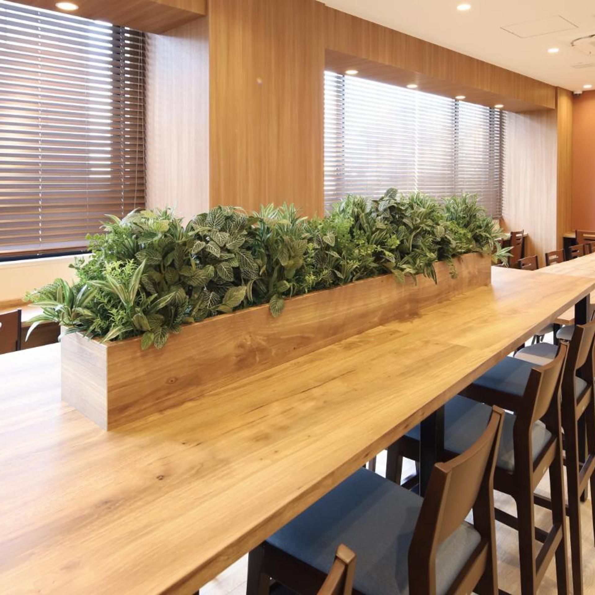 A long wooden table with a planter box filled with green plants.