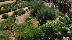 Un hotel a più piani con balconi, immerso in giardini curati e palme.