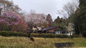 Exterior - Blue Sky White Dragon (Minamiaso)