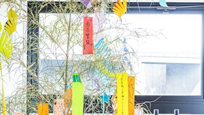 A room with a large window, a plant, and various items on shelves including bottles and price tags. - The Glamping Plaza Ise-shima Base (Shima)