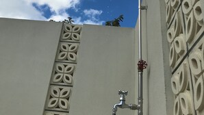 A showerhead attached to a wall with decorative patterns. - Namihara Secret (Minamiboso)