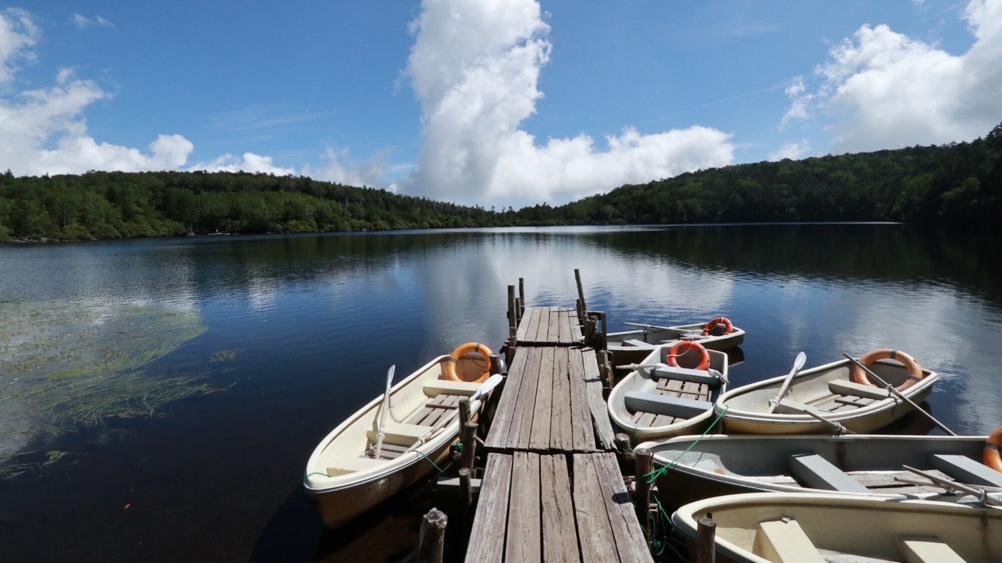 A wooden dock with several small boats tied up, a calm lake, and a forested shoreline under a clear sky.
