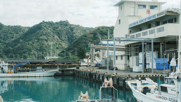 A marina with boats docked, a building with signage, and a mountainous backdrop. - Negura (Ogimi)