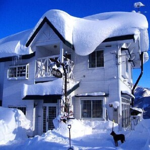 Exterior - Pension Silver Fern (Otari)