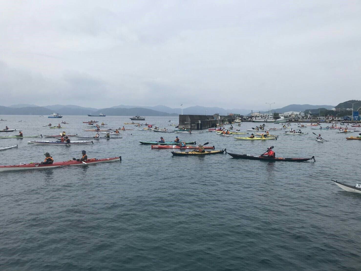 A crowded harbor with numerous kayaks and canoes on the water.