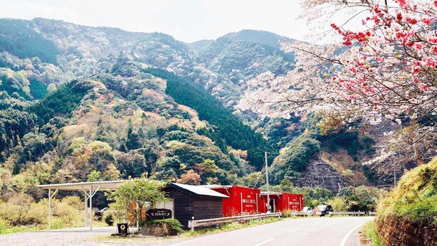 A rural road with a small wooden building labeled "Reborn" and a red container.