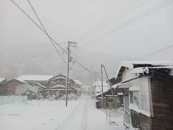 A snowy residential street with houses and utility poles.