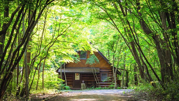 A log cabin surrounded by dense forest. - Log Cottage Chausu no Mori (Nasu)