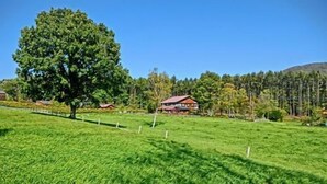 A grassy field with a large tree and a house in the background. - Kids Pension Maple (Hokuto)