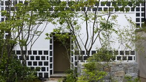 Een traditionele Japanse tuin met een pad van stenen dat leidt naar een houten poort.