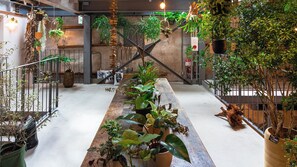 A spacious indoor area with a long wooden table lined with potted plants, surrounded by walls adorned with various hanging plants and greenery. - Yoshida Mura Inn (Shimotsuke)
