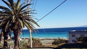 Una carretera costera con una palmera, cielo azul despejado y vista al océano.