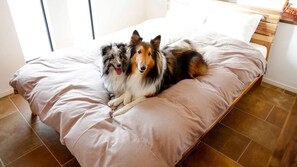 Room - Wanpaina (Futtsu)