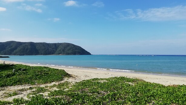 A beach with clear turquoise water, a sandy shore, and a forested hill in the background. - Guesthouse Ryofu (Amami)