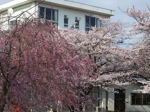 Exterior - Business Inn Mizuho Ryokan (Koriyama)