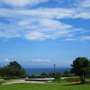 Miscellaneous - Dog-friendly Pension Zoo (Awaji)