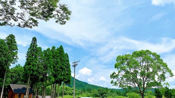 Un entorno rural con un campo cubierto de hierba, un árbol grande y varias construcciones de estilo rústico.