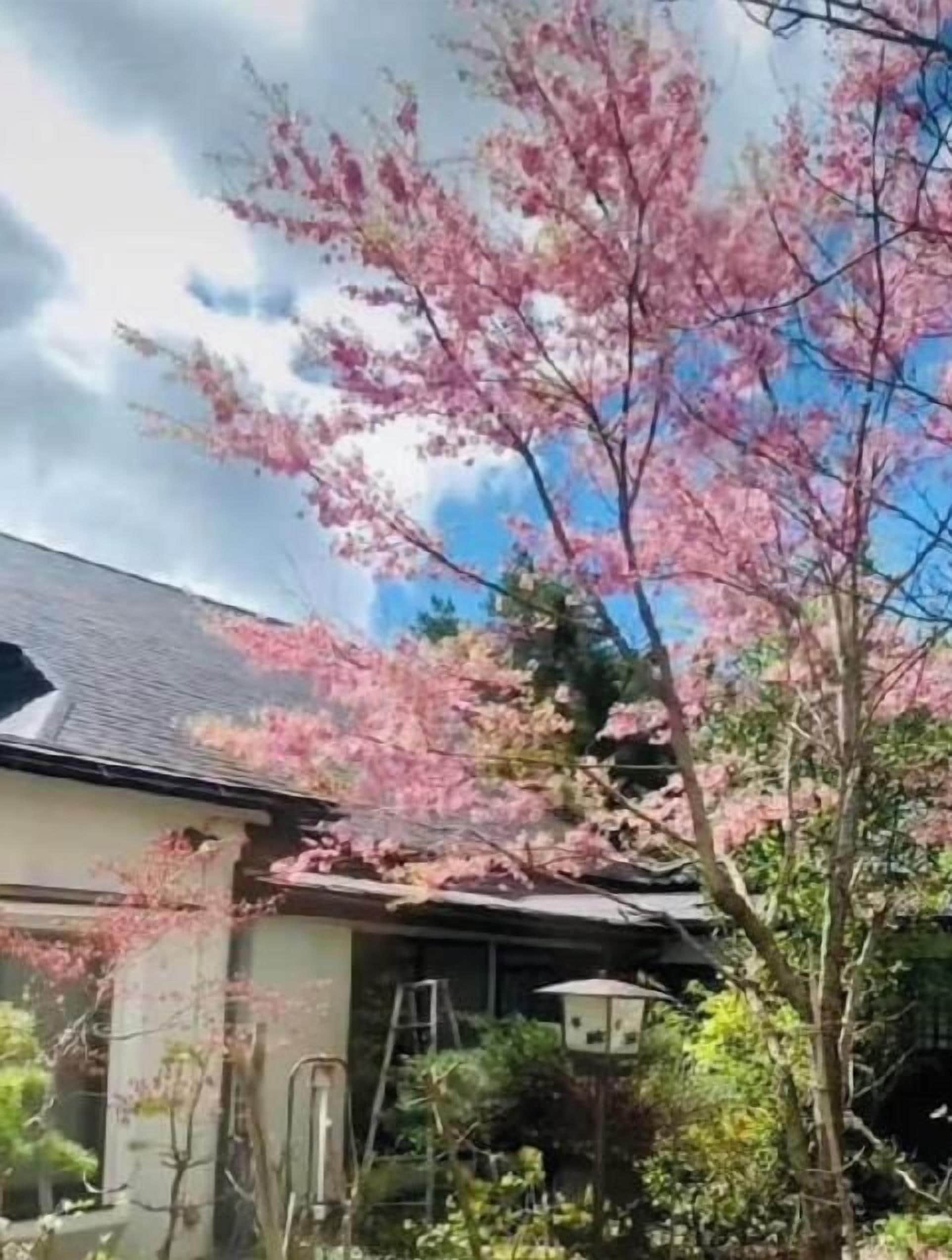 A house with a sloped roof and a visible chimney.
