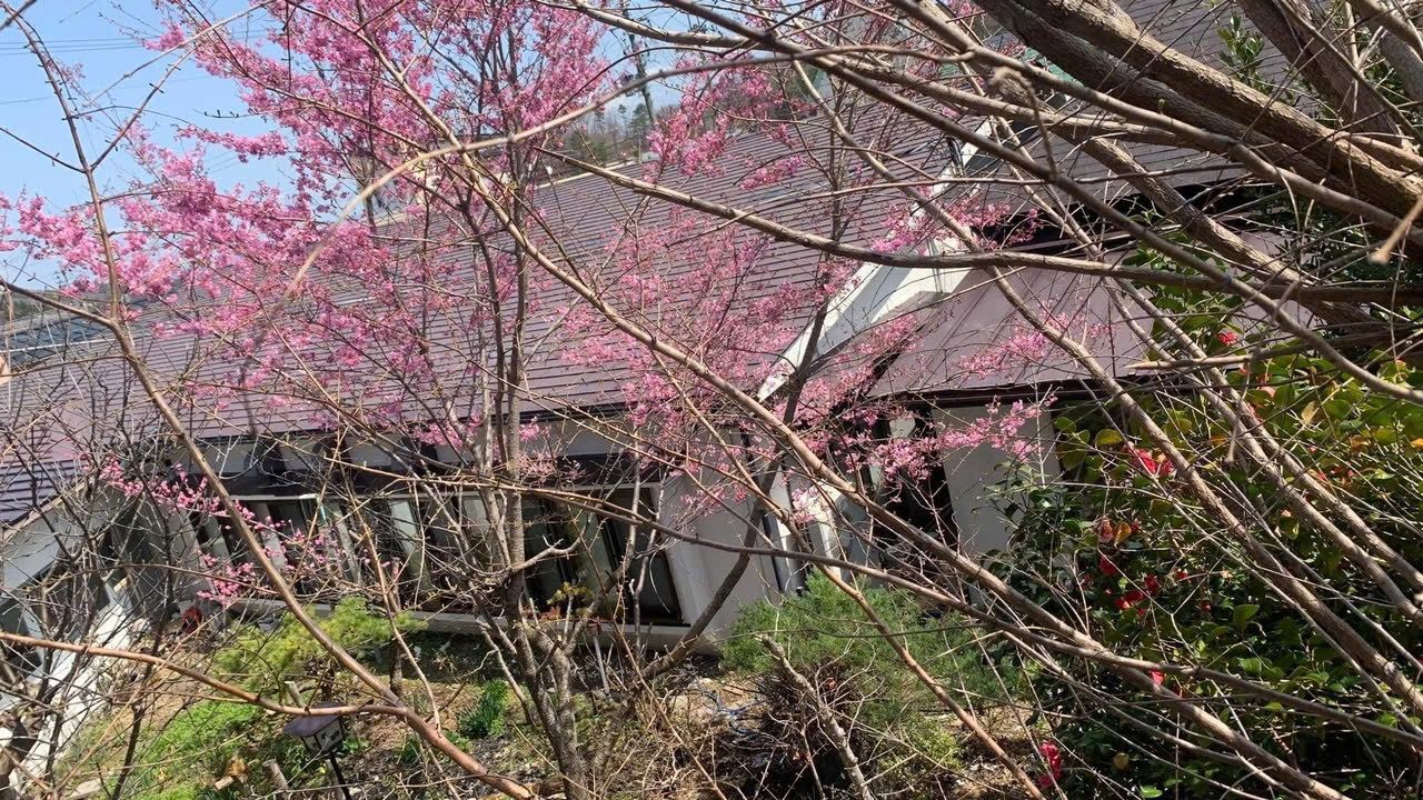 A building with a sloped roof and a garden area with flowering trees.