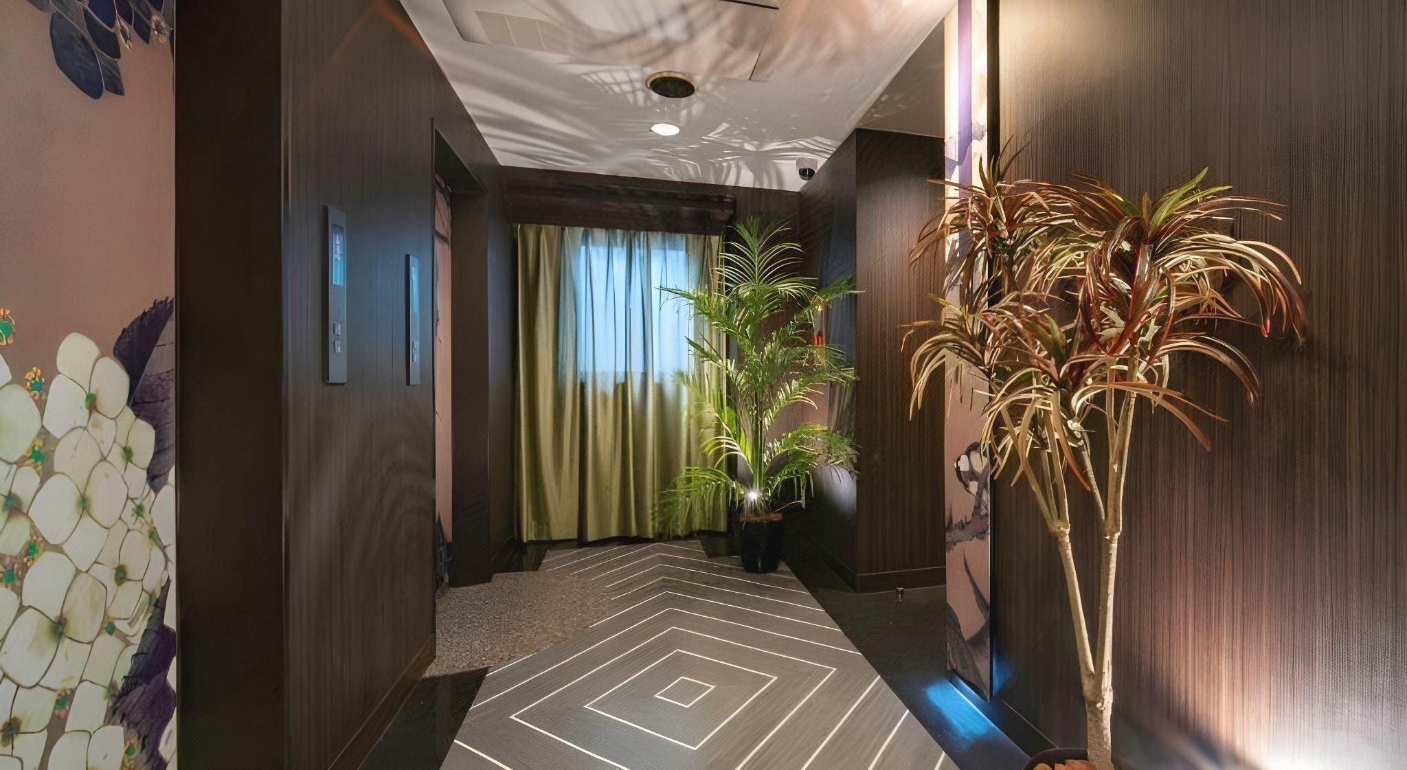 A hotel hallway with a patterned floor, a large potted plant, and a wall with a decorative design.