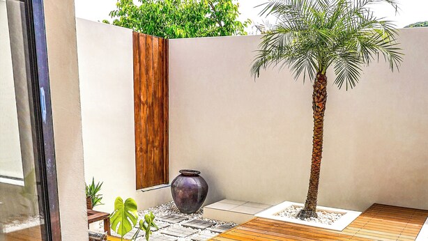 Un área de piscina moderna al aire libre con una terraza de madera, una palmera y un pequeño jardín con plantas.