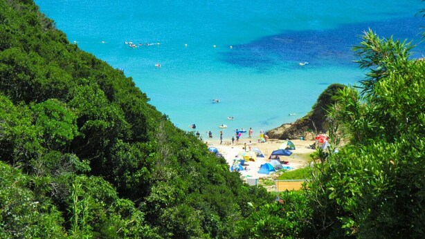 A beach with clear blue water, surrounded by lush greenery. - Villa Ozawa (Shimoda)
