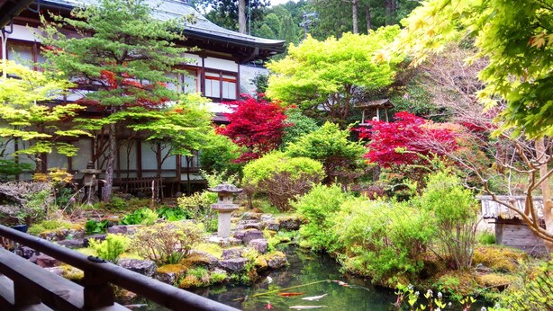 Un jardín japonés tradicional con un estanque de carpas koi, un farol de piedra y una edificación de madera con techo de tejas.